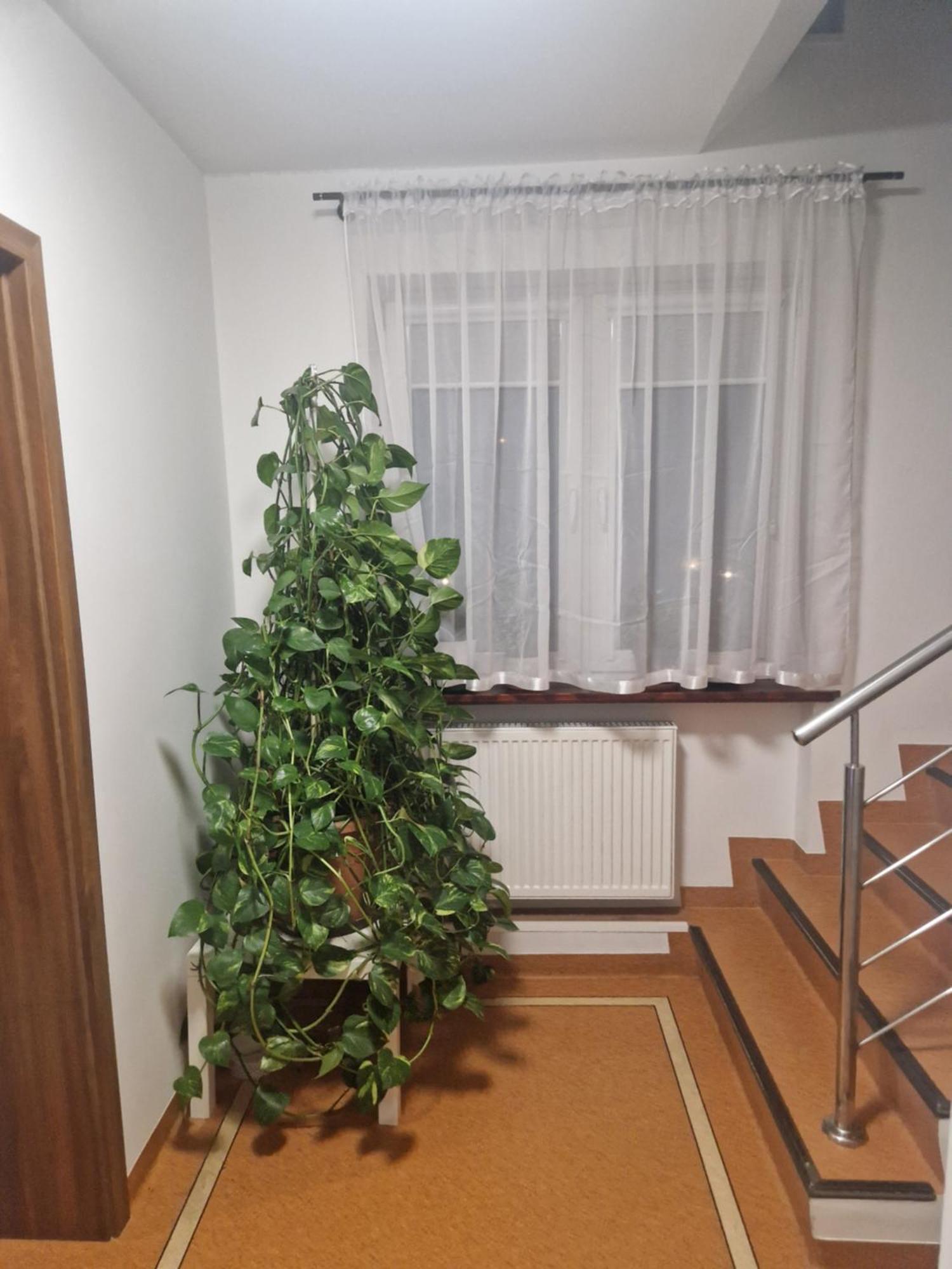 Noclegi Budomas Budget Wroclaw-Szymanow Freeparking Smarttv Екстер'єр фото